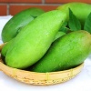 Xoài xanh ruột hơi vàng chuẩn chất lượng